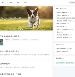 宠物二百