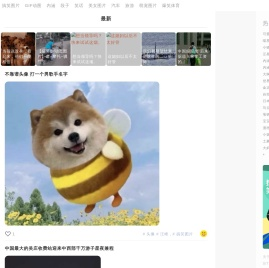 嗡啪网