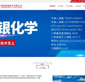 北京双银科技有限公司