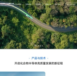 深圳方正微电子有限公司