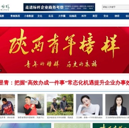 陕西青年榜样网
