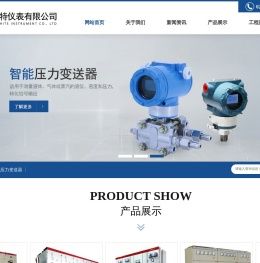 上海莱时特仪表有限公司