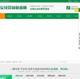白皮松