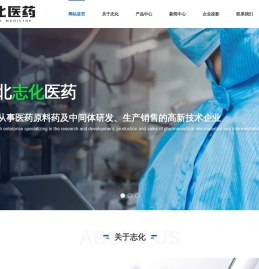 湖北志化医药化学有限公司