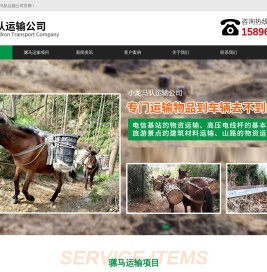 杭州马帮运输队