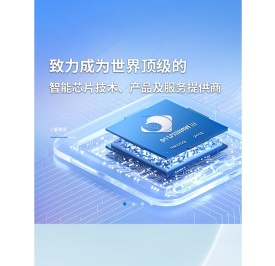 长沙金维集成电路股份有限公司