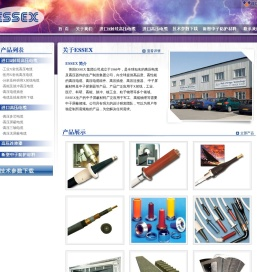 丹东边境经济合作区莱特电气有限公司