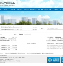 重庆市注册安全工程师协会