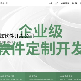 成都软件外包公司