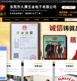 专业的连续端子