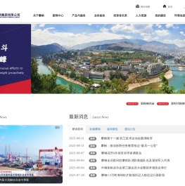 攀钢集团有限公司