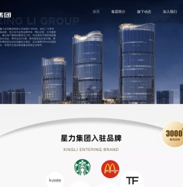 星力集团