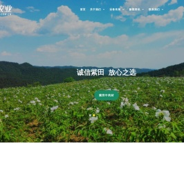 紫田农业