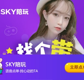 Sky陪玩网页版