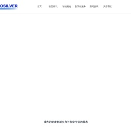 上海宏银信息科技股份有限公司