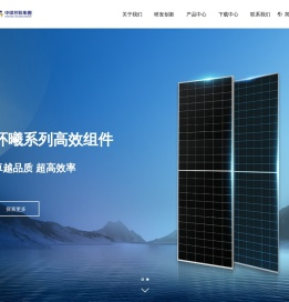 中环低碳新能源（安徽）集团有限公司