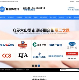 盛恩传感器
