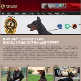杜宾犬