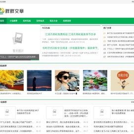 胖胖文章网