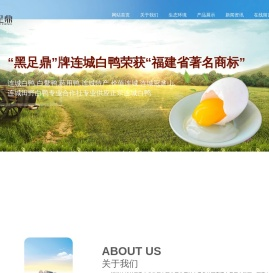 连城白鸭