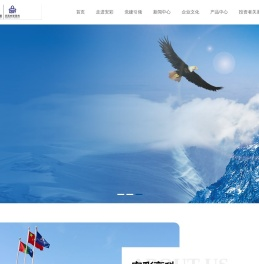 河南安彩高科股份有限公司