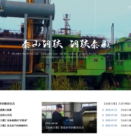 山东泰山钢铁集团有限公司