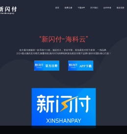 新闪付