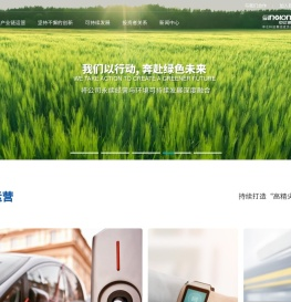 中仑新材料股份有限公司