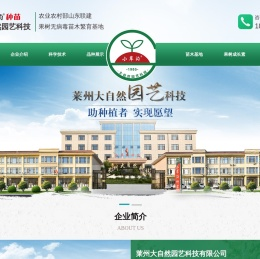 福星苹果苗