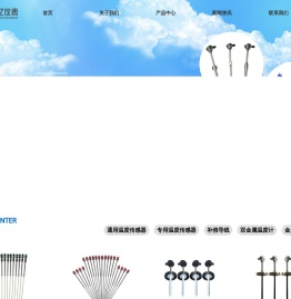 专业温度仪表制造商
