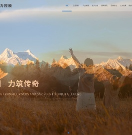 海力控股集团有限公司