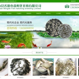 罗非鱼鱼苗