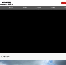 WEG电机