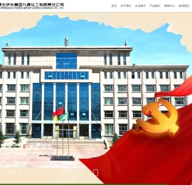 内蒙古伊东集团九鼎化工有限责任公司