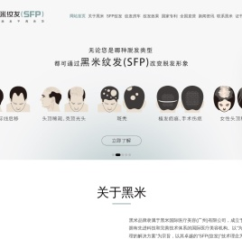 黑米纹发(SFP)官网