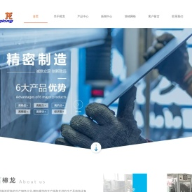 佛山市顺德区樟龙电机有限公司