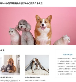 猫狗日常生活