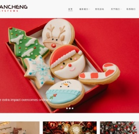 安成（深圳）信息技术有限公司