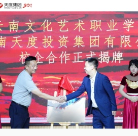 云南天度投资集团有限公司