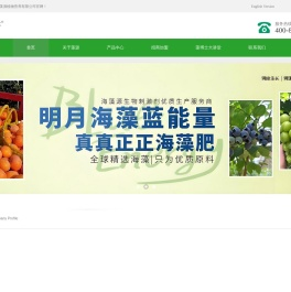 蓝能量