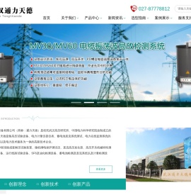 武汉通力天德电气设备有限公司