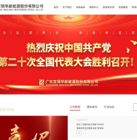 广东宝丽华新能源股份有限公司