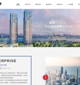 企业征信