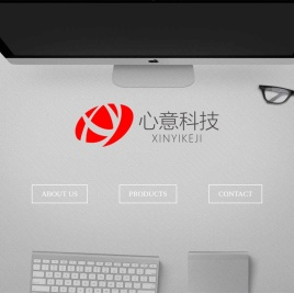 大连心意科技有限公司