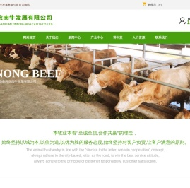 贵州肉牛