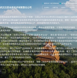武汉汉思信息技术有限责任公司