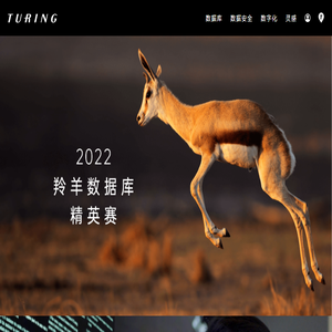 广州图灵科技有限公司