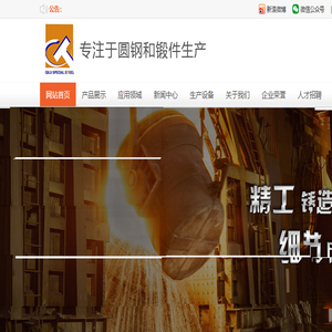 齐鲁特钢有限公司