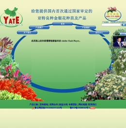 亚特金银花网