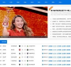 轻质浇注料